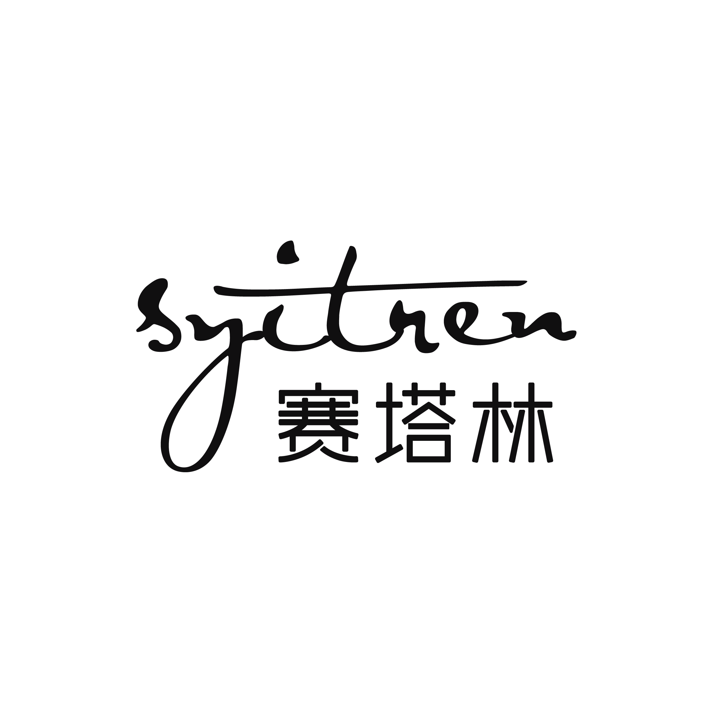 Syitren/赛塔林-专注高品质黑胶唱片机CD机